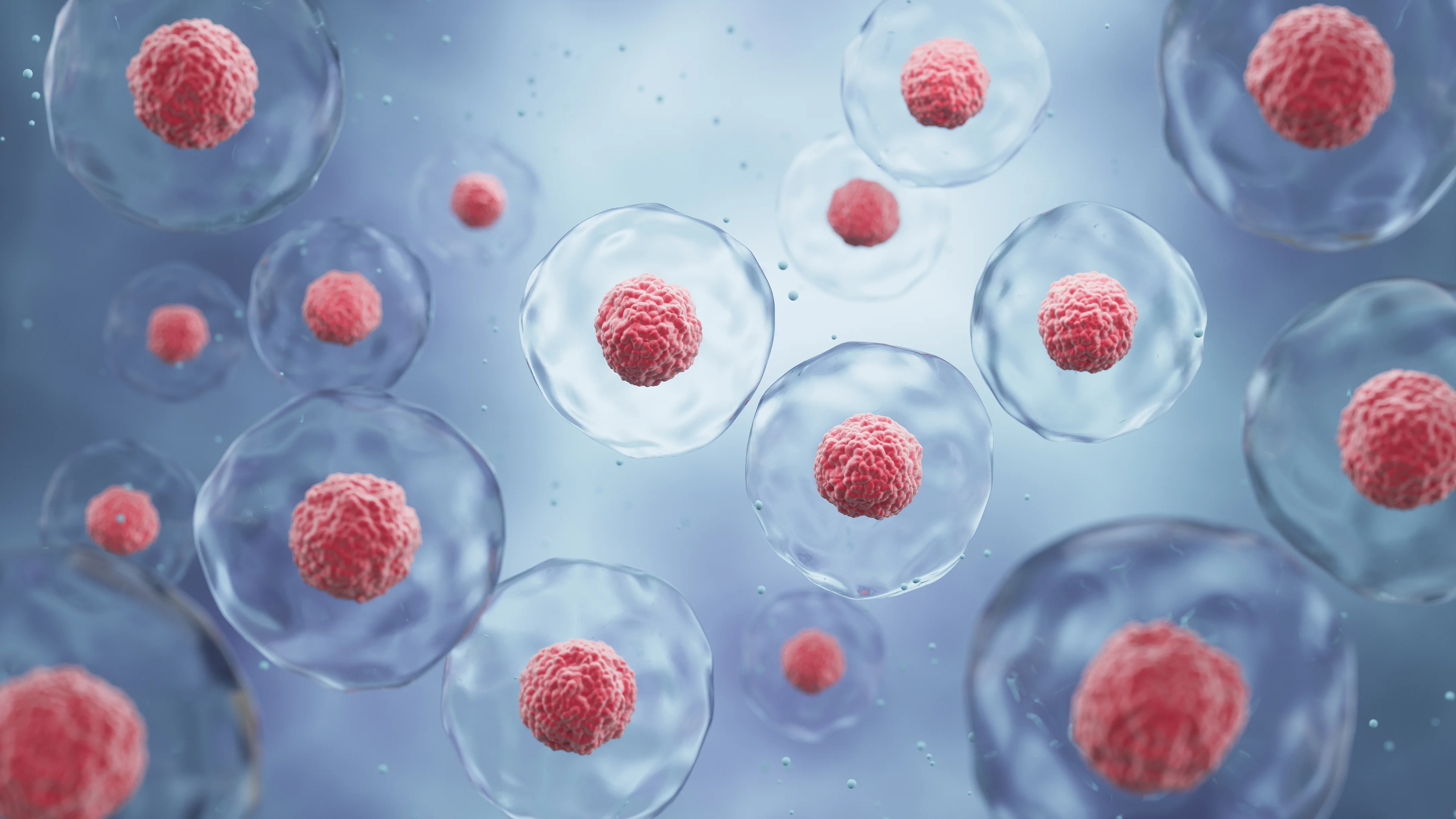 Maternidad Planificada