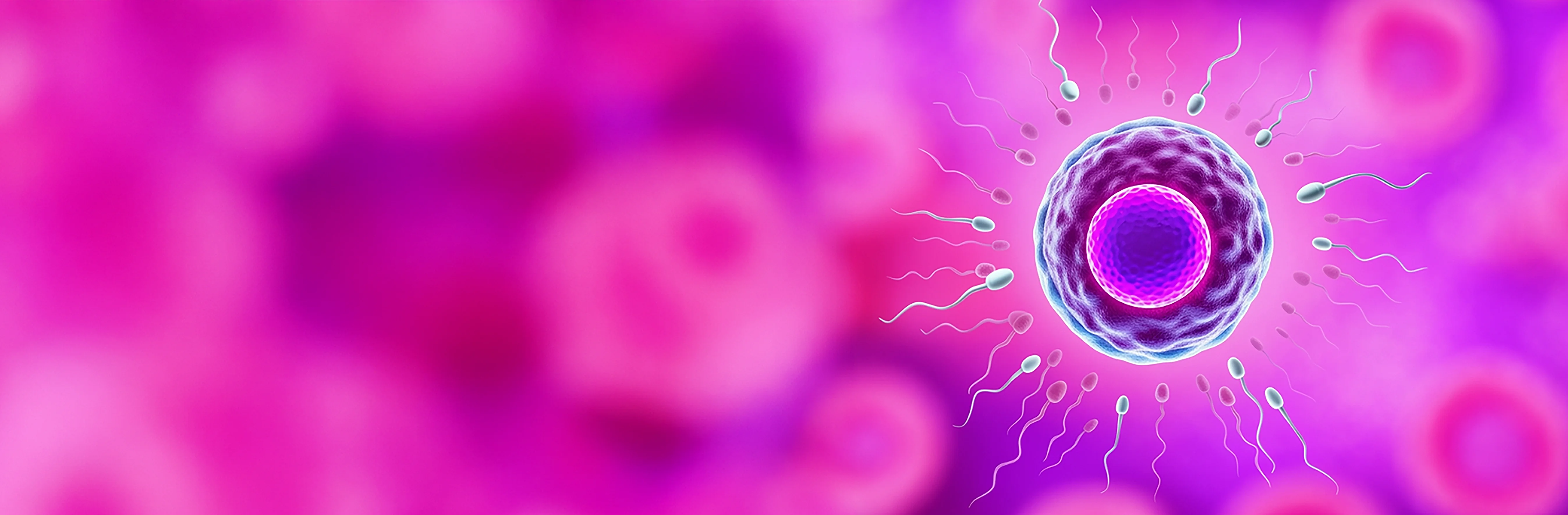 Fertilización in vitro (FIV/ICSI)