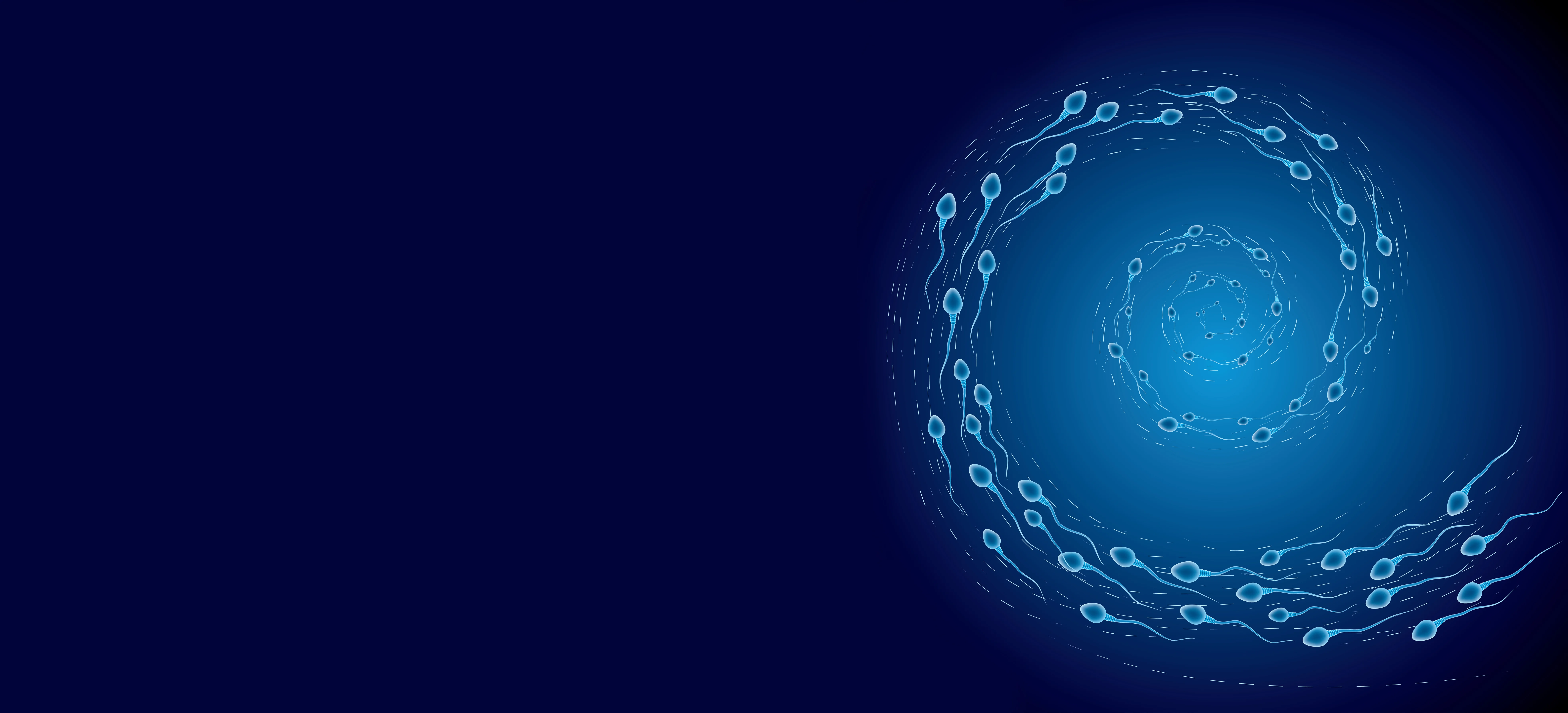 Separación espermática Gradientes